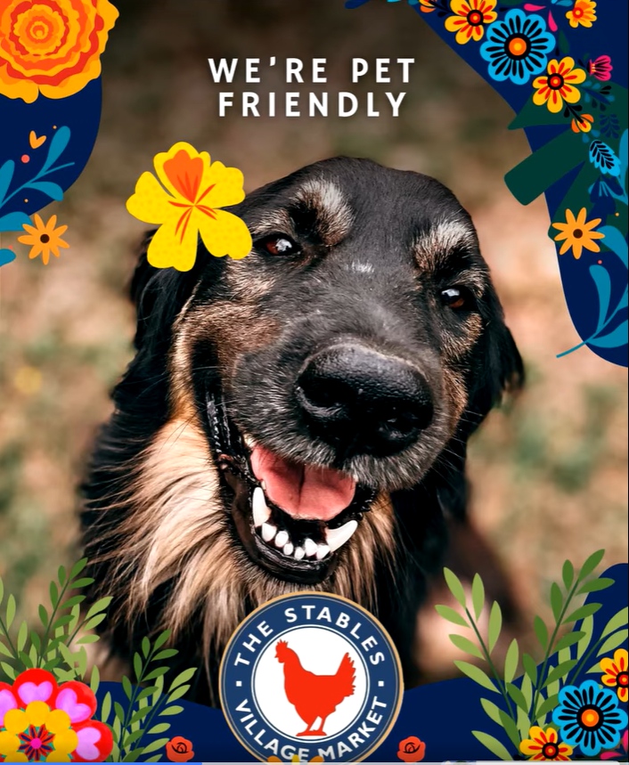 Dog sitting beside its owner at an outdoor café table in The Stables Village Centre, Johannesburg, surrounded by a relaxed country-style setting