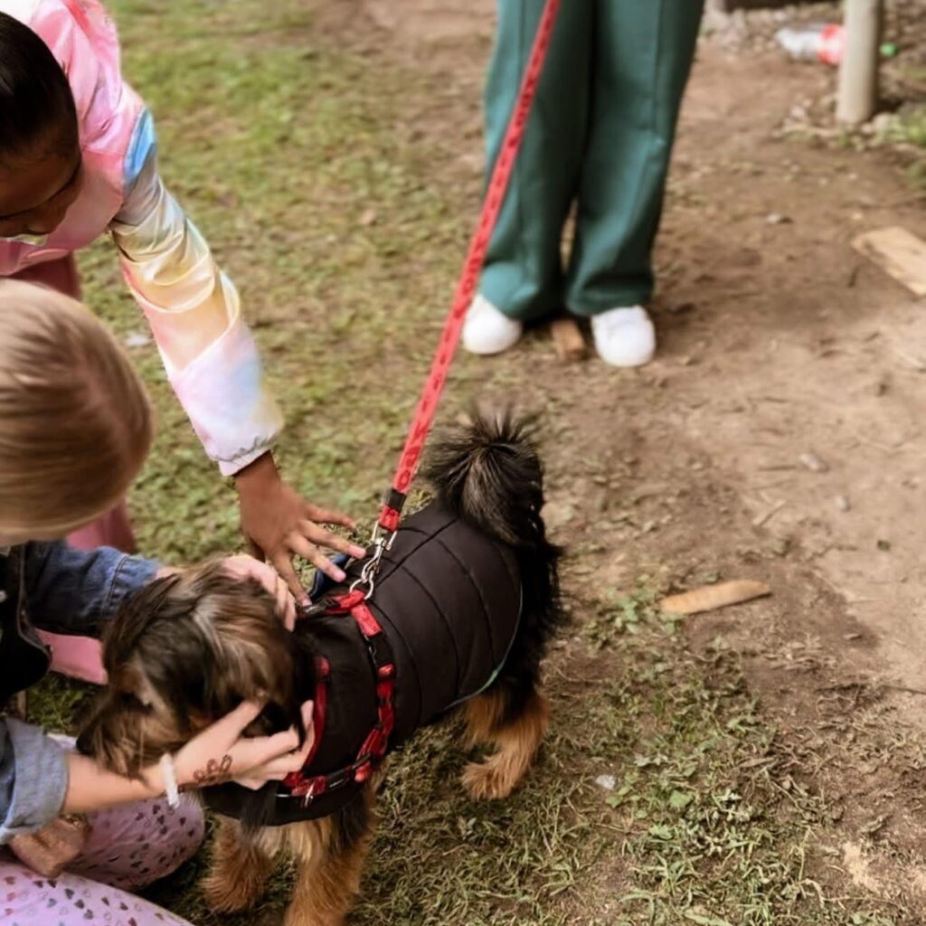 the stables village centre 5